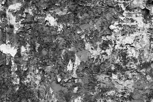 Preview: Abstract Painted Texture Of Torn Paper For Background Or For Wallpaper Of Monochrome Tone