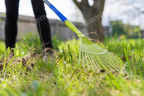Preview: Spring cleaning in the garden, closeup rake cleaning green grass