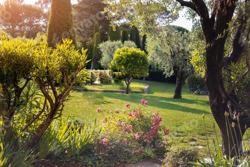 Preview: Green lawn and trees.