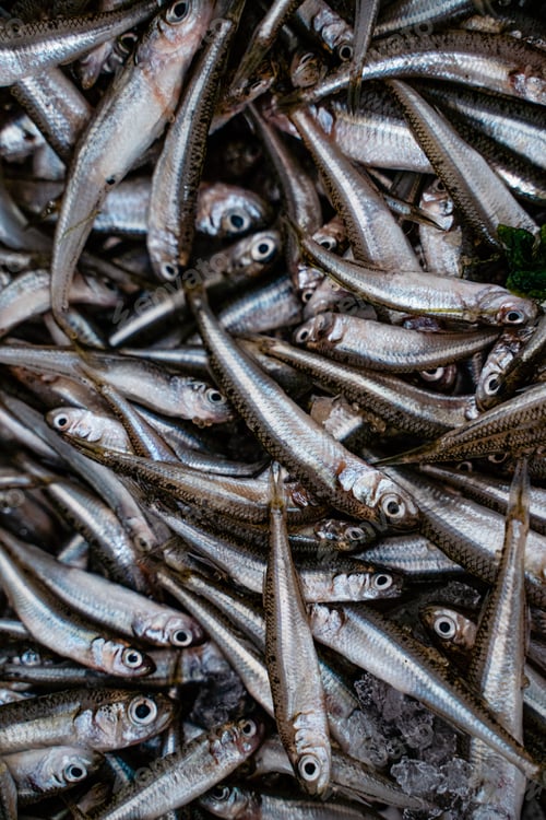 Preview: Vertical top view of a pile of sardine fishes
