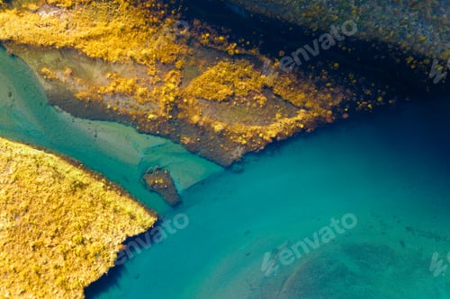 Preview: A drone view of the river . An aerial view of an autumn field. Pond among the meadows.