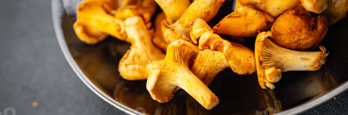 Preview: chanterelles fresh mushrooms delicious mushroom food snack on the table copy space food background