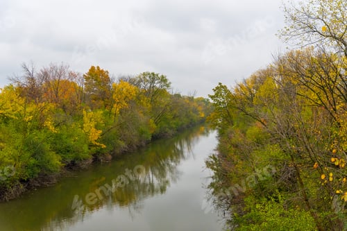 Preview: Colorful Trees On The Sides Of The River In Chicago