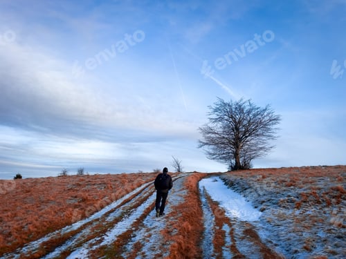 Preview: Man with backpack standing on a field covered in snow and looking at a lonely tree in the distance