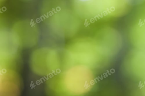 Preview: Abstract bokeh green circles background