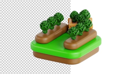 Preview: Artichokes Harvest Organic Farm Produce