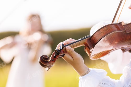 Preview: little girl is playing violin outdoor with garden in the background on sunny summer day.