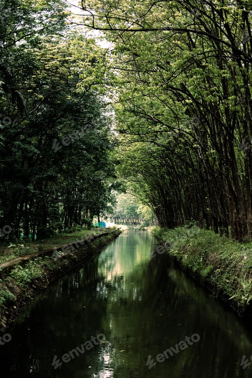 Preview: Tranquil canal surrounded by lush greenery and trees