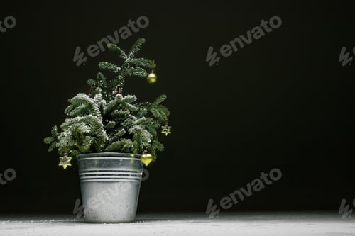 Preview: live spruce in a bucket on a dark background with snow, christmas concept
