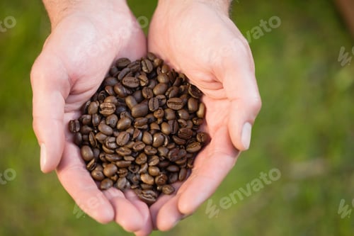 Preview: Coffee beans