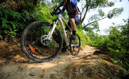Preview: Cross country biking woman cyclist riding mountain bike on tropical rainforest trail