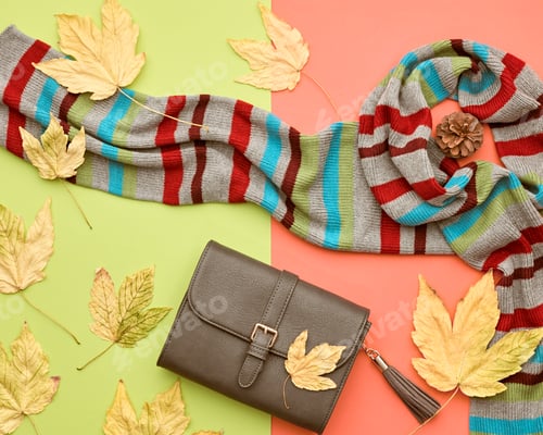 Autumn Fashion Scarf Leaves and Clutch