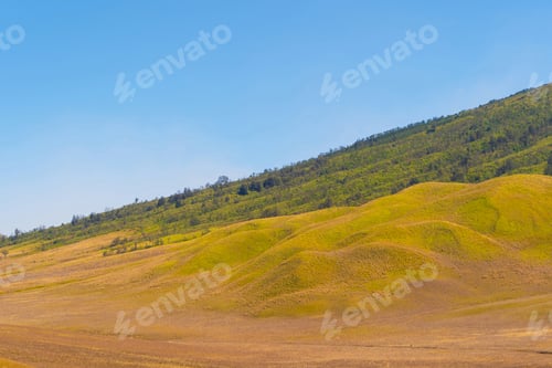 Preview: Mountains. Bromo Savanna Green Hill in the national park, East Java, Indonesia. Nature landscape