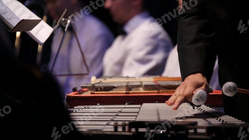 Preview: Close up of the musician playing on xylophone. Xylophone, music and chromatic instrument concept -