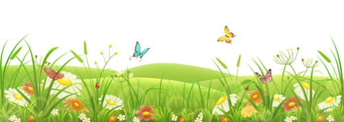 Preview: Meadow, green grass and flowers