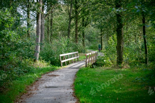 Preview: green nature in holland with woman on bike