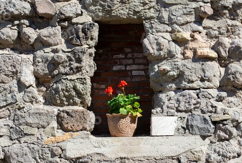 Preview: a flower pot in a niche in an old wall