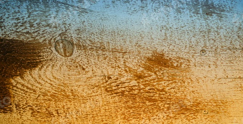 Preview: Old Tree Blank Background Image