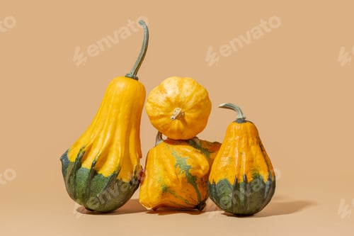 Preview: group of small pumpkins on a yellow background