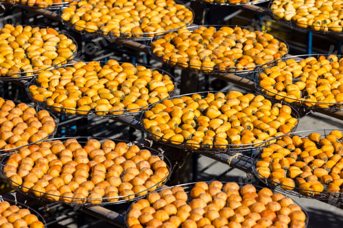 Preview: Dry Persimmon fruit production under sunshine in factory