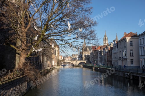 Preview: Beautiful medieval Gent (Ghent) town.