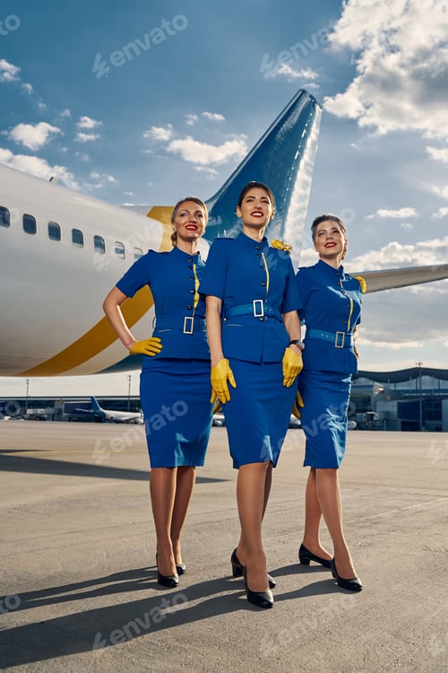 Preview: Group of smiling stewardesses standing by an aircraft