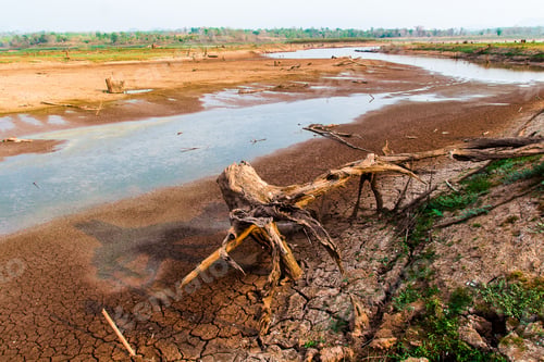 Preview: Cracked dry land without water.Abstract background