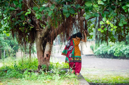 Preview: Happy Indian woman near banyan tree