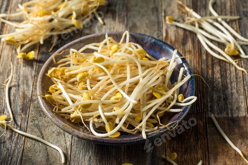 Preview: Raw White Organic Bean Sprouts