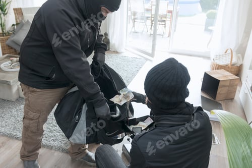 Preview: Two burglars at work in an one-family house at daytime