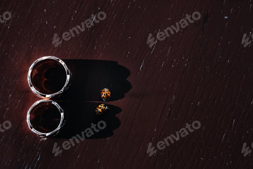 Preview: Close-up of two gold wedding rings and two beetles