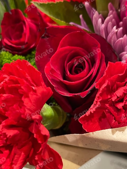 Preview: Roses