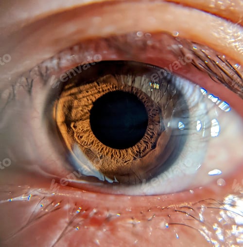 Preview: Macro shot of a wide opened human eye