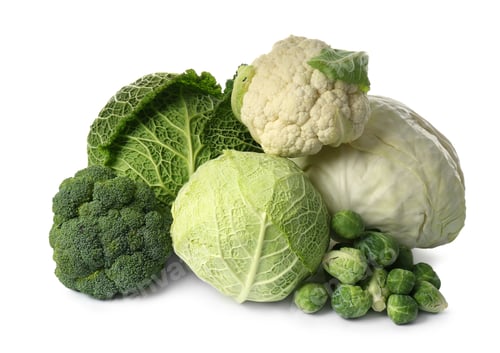 Preview: Many different fresh ripe cabbages on white background