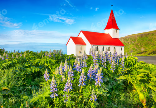 Preview: Breathtaking view of Vikurkirkja christian church in blooming lupine flowers.