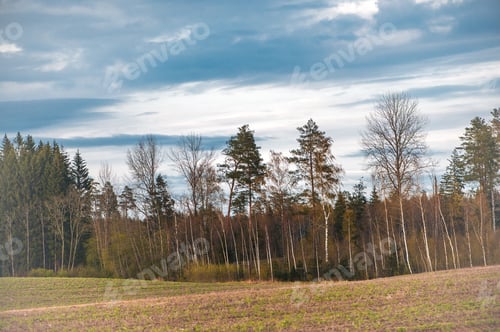 Preview: Spring landscape with forest trees and blue cloudy sky in Latvia