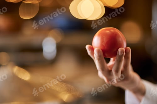 Preview: Chef holding fresh ripe red tomato in hand