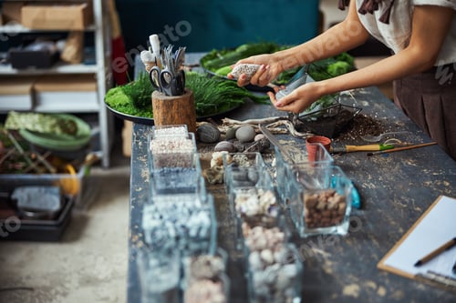 Preview: Designer using decorative elements for top dressing in a succulent terrarium