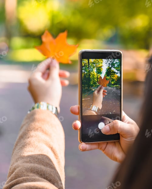 Preview: Woman Taking Picture On Phone Of Yellow Maple Leaf Autumn Season