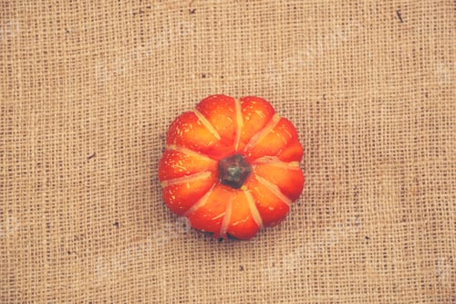Preview: Halloween pumpkin, vintage filter image