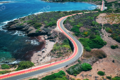 Preview: Aerial view of winding road, rocky sea shore, green trees