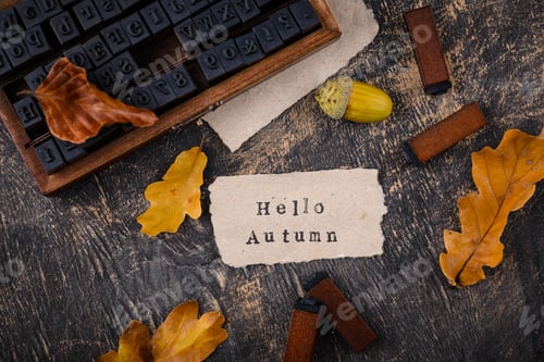 Preview: Autumn background with dry leaves.