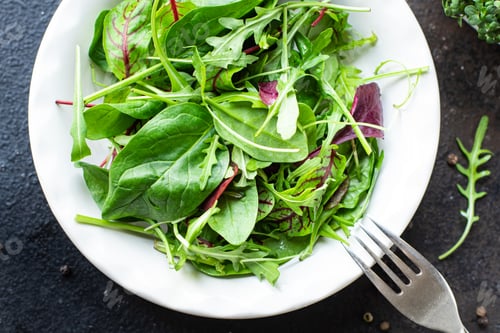 Preview: Green Mix Salad Lettuce, Swiss Chard, Leaves, Arugula, Spinach, Iceberg, Romano Salad Snack Healthy