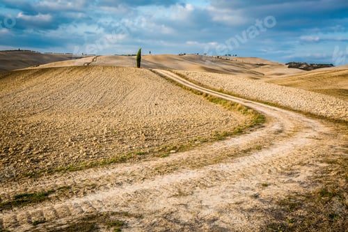 Preview: Beautiful view of the country footpath at sunset in Tuscany