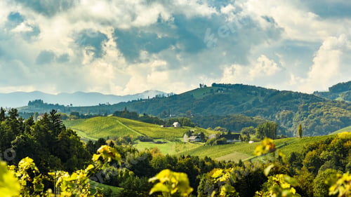 Preview: Austria Vineyards Leibnitz area south Styria travel spot