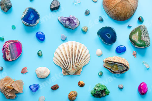 Preview: Sea shells and natural stones laid out in a beautiful pattern.