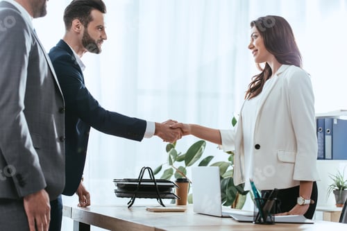 Preview: advisor and investor in suits shaking hands at office