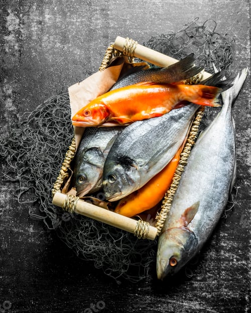 Preview: Raw fish in the box.