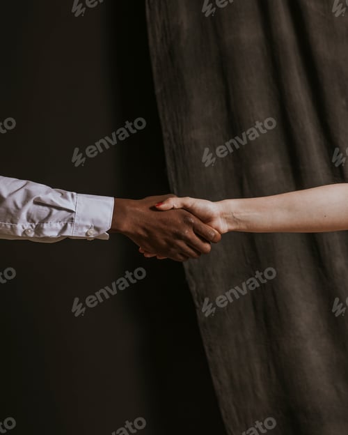 Preview: Diverse people shaking hands