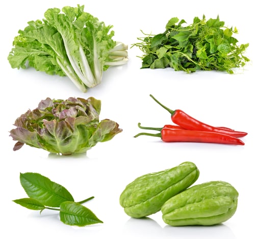 Preview: green tea leaf, Chayote, Green Oak, Red chili pepper, Bitter gou